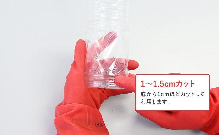 底を1.5cmほどの高さでカットする