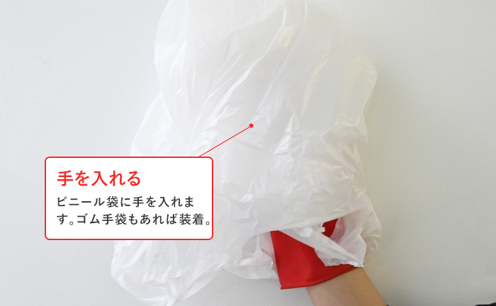 ビニール袋に手を入れて作業の準備完了